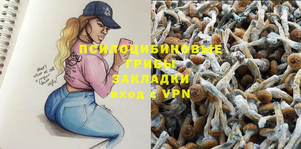 дживик Баксан