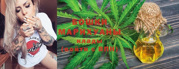 ГАЛЛЮЦИНОГЕННЫЕ ГРИБЫ Балахна