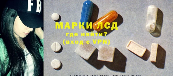дживик Баксан