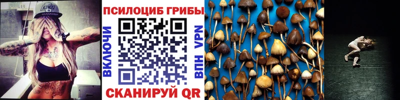 blacksprut зеркало  Острогожск  Галлюциногенные грибы Cubensis 