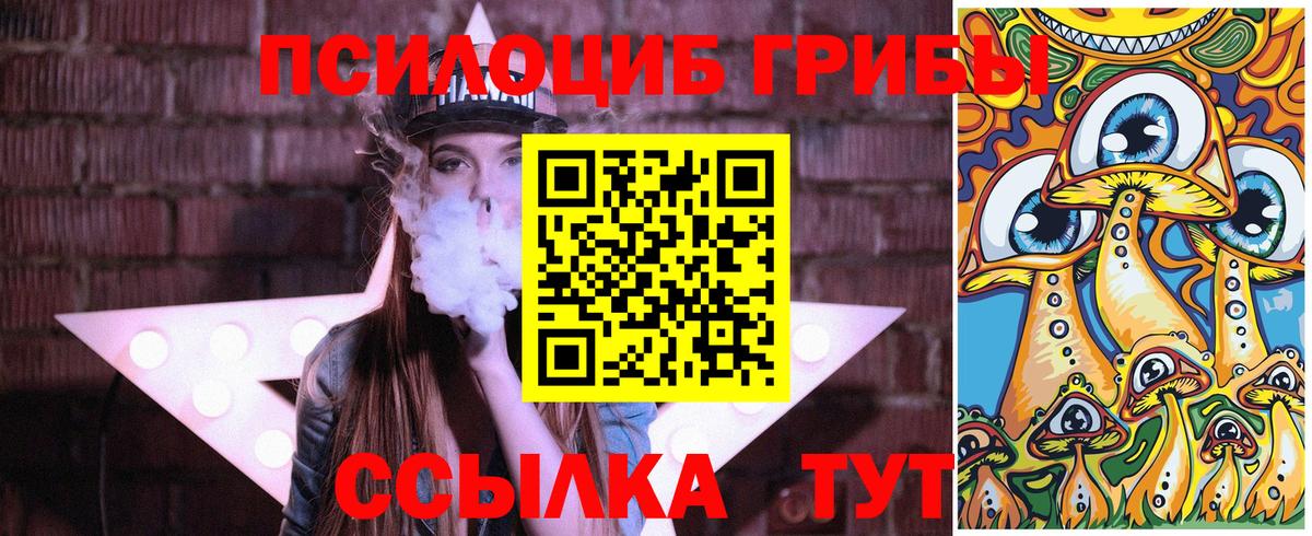 Острогожск  Галлюциногенные грибы Psilocybe  Вход с VPN 