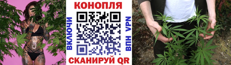 купить наркоту  Острогожск  Канабис MAZAR 